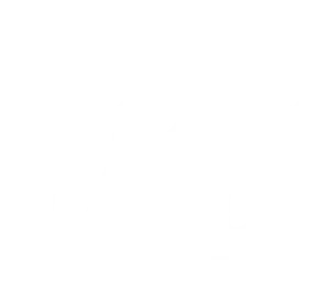 Canva Business 1 Year