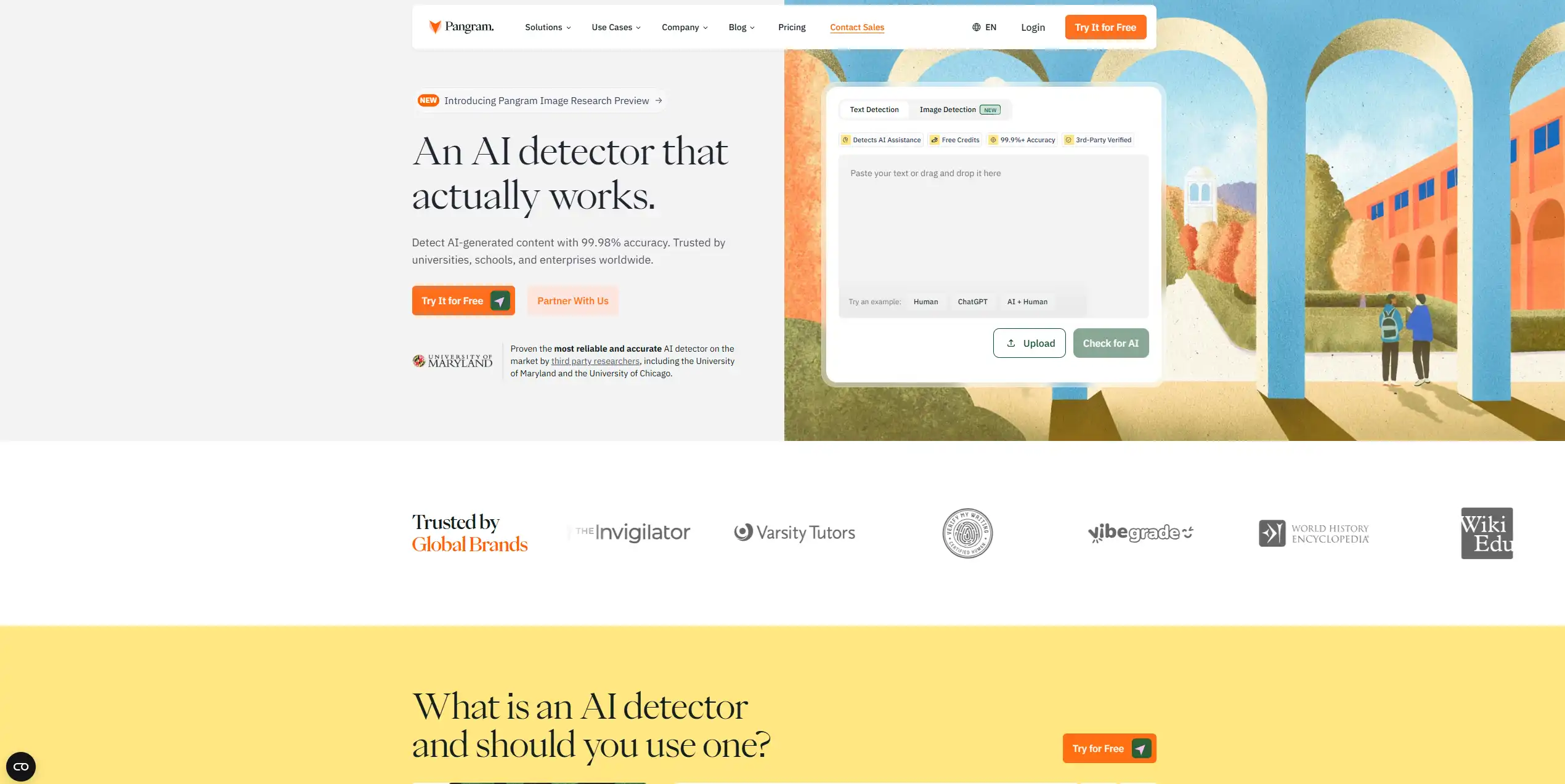 Pangram Professional 1 Year