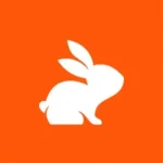 CodeRabbit Pro Plus 1 Year